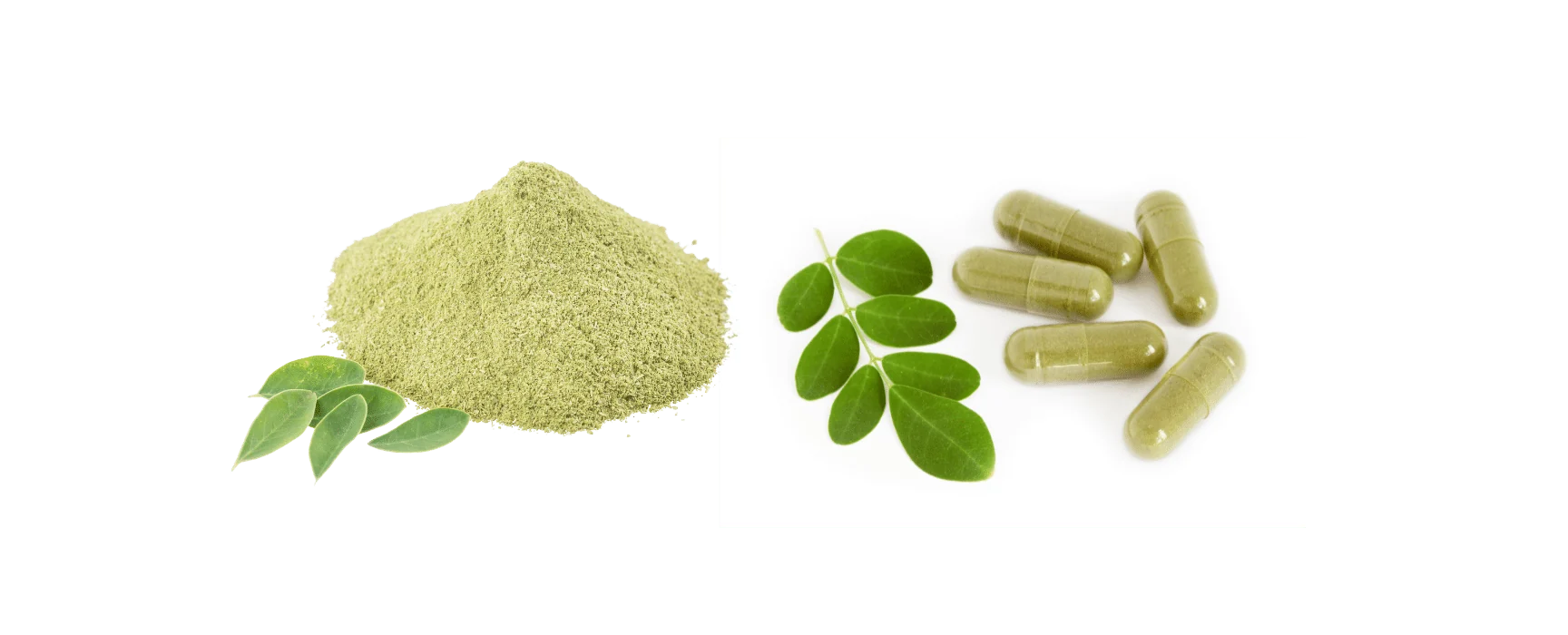 Moringa leaf powder, moringa leaves and green capsules